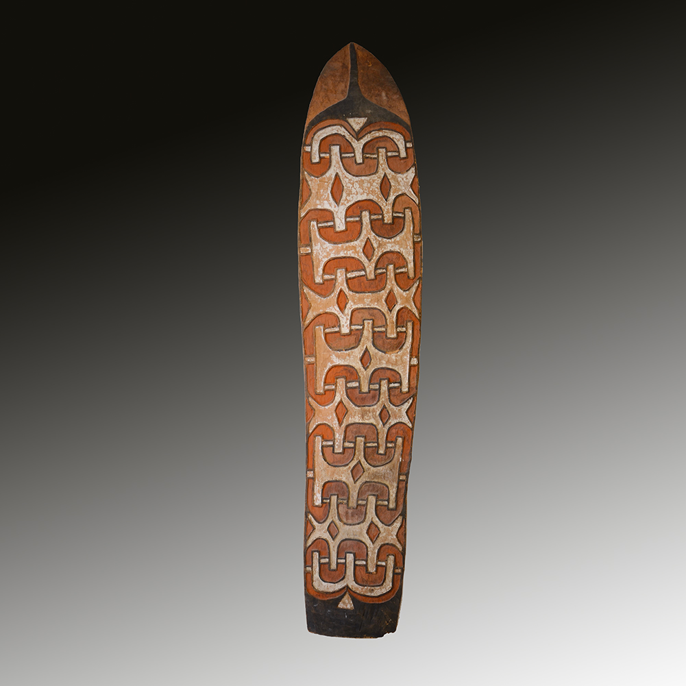 Asmat war shield