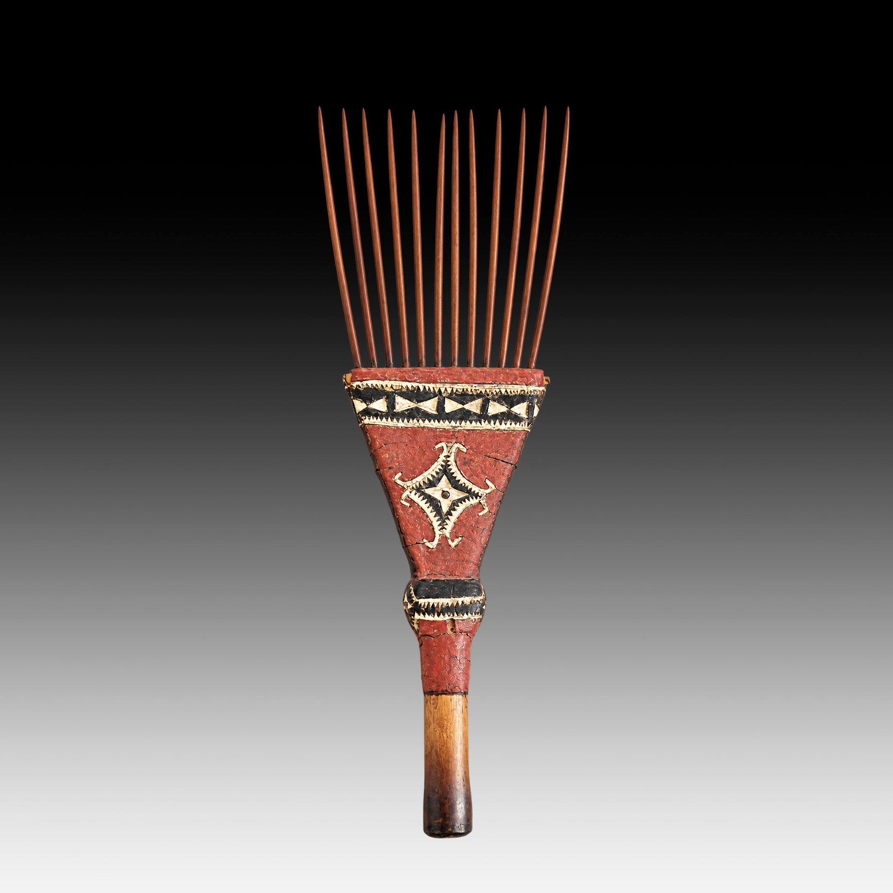 Admirality Islands comb